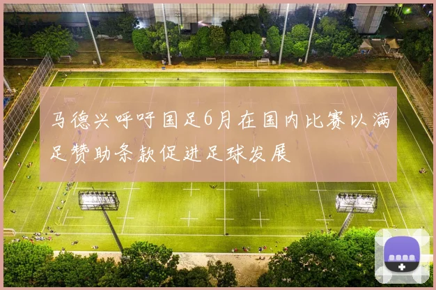 马德兴呼吁国足6月在国内比赛以满足赞助条款促进足球发展