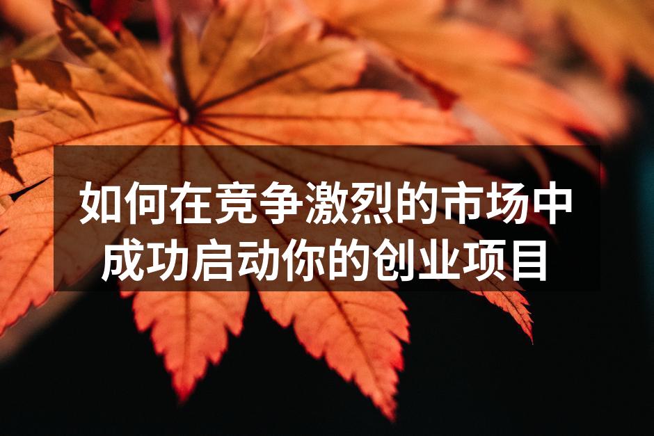 创业者正在进行市场调研